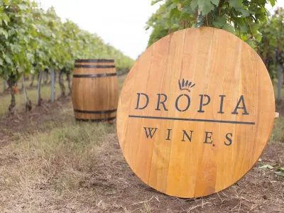 Dropia