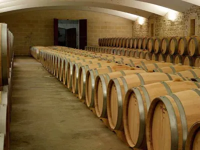 Chateau Pigotte-Terre Feu