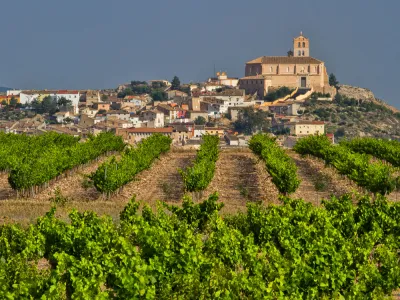 Garnacha, een verleidelijke druif!