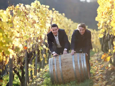 Grand Premier Cru…Machtige wijnen uit biologisch bewerkte wijngaarden