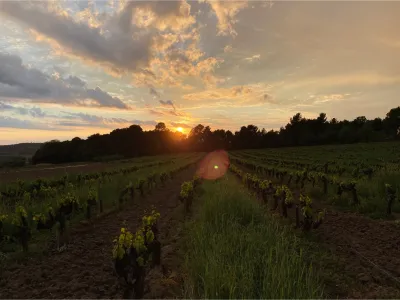 Domaine les hautes briguieres