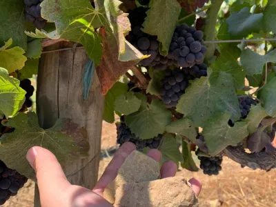 Village 'efringen' en zijn Pinot Noir á la Bourgogne...
