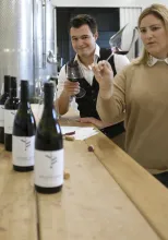 Rode wijnen die net zo indrukwekkend zijn als hun geschiedenis