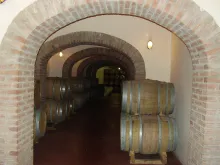 De kelders van Bodega Alex