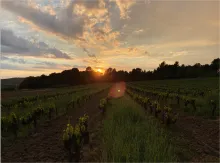 Domaine les hautes briguieres