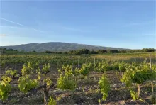 Domaine les hautes briguieres