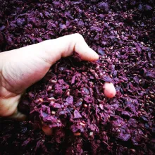 STOP met zoeken, twee Saint Emilion Grand Cru’s die NIET teleurstellen