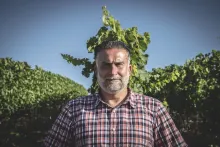 Stefano Dini
