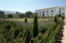 Quinta da Nespereira