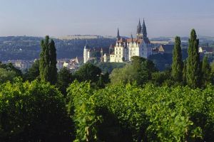 Duitse wijn uit het Sachsen gebied