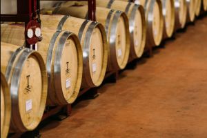 De witte wijnen van Tampesta worden opgevoed op nieuwe eiken houten vaten!