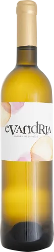 Evandria Alarije Bodega Coloma